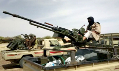 mali 400