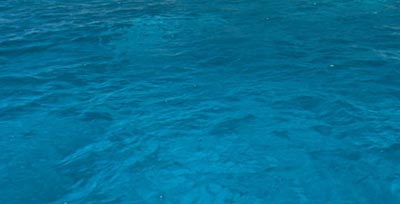 waterq