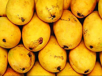 mango