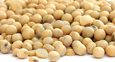 soyabean