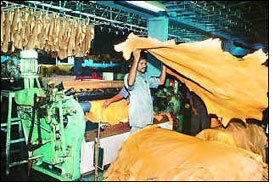 Leather_Tannery