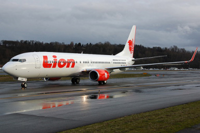 lionairplane