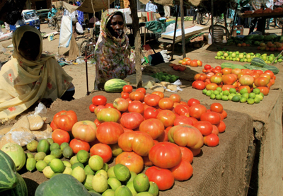 sudan