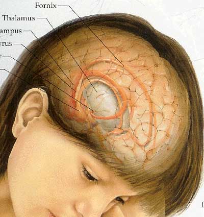 brain-tumor