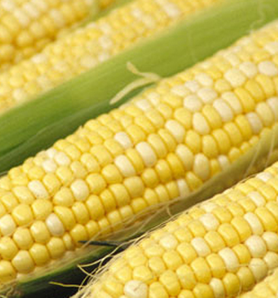 cornwer