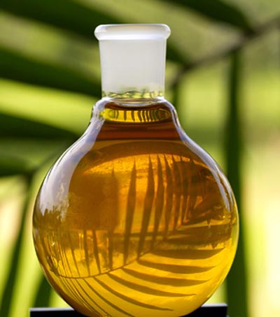 palmoila