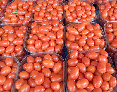 tomato1_400
