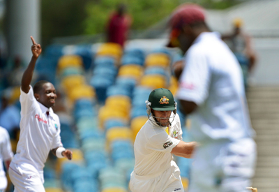 cricket-west 