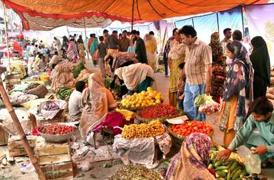 commodity 01 400