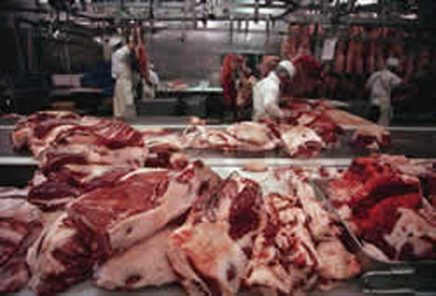 meat export