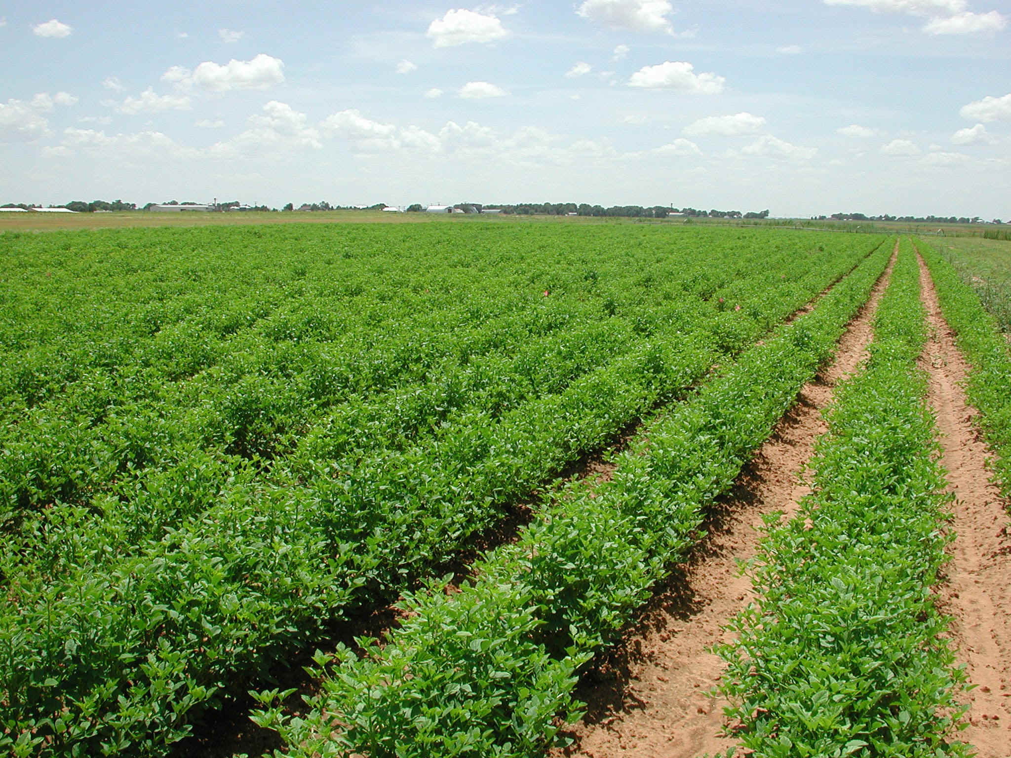 agri