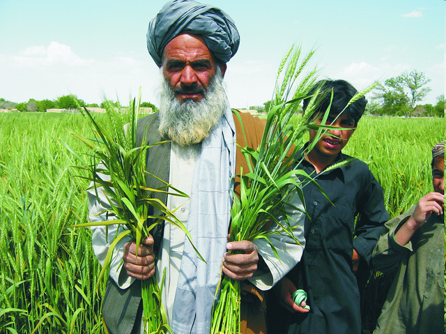 balochistan agriculture