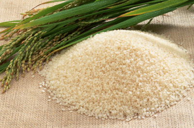 rice
