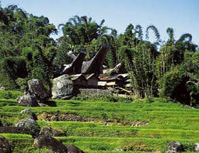 sulawesi