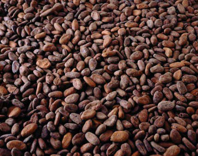 Cocoa_Beans