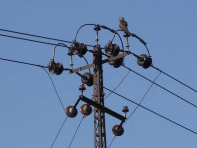 Electric