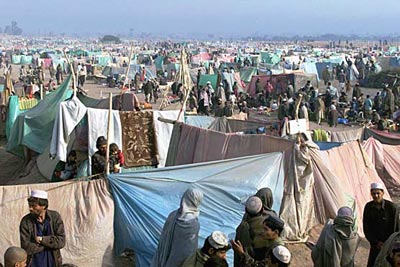 afghan