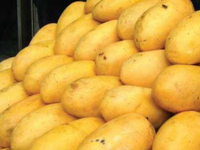 mango