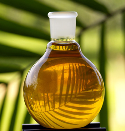 palm-oil