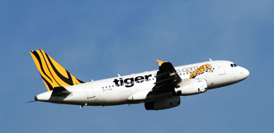 tiger_400_copy