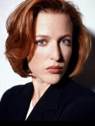 Gillian_Anderson_Srilanka_Property