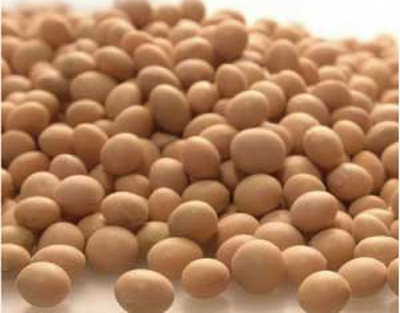 soya