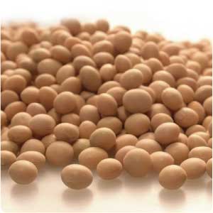 Soybeans