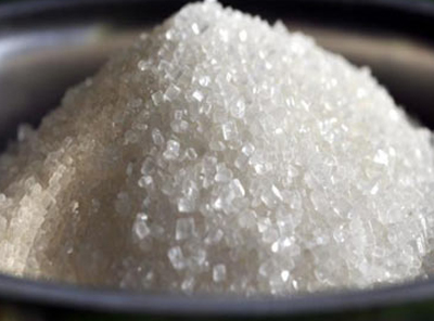 sugar-expo