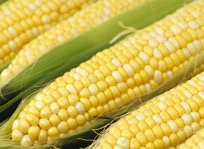 cornas