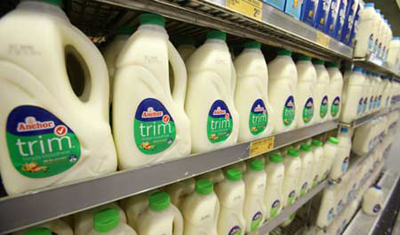 nz-dairy-products