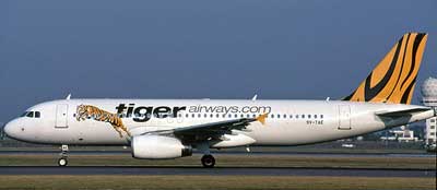 tiger