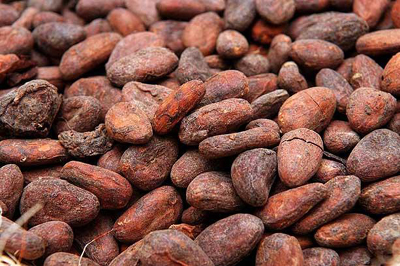 cocoa