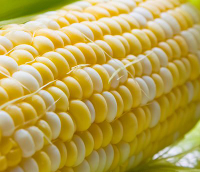 corn