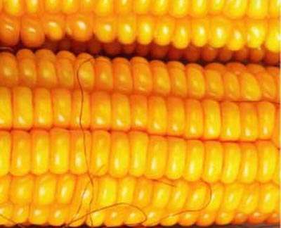 cornma