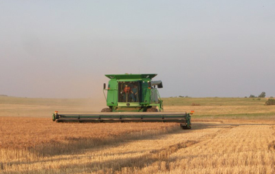 harvest