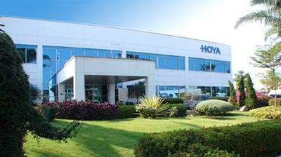 hoya