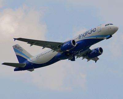 indigo-airlines
