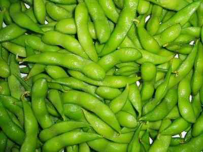 soybeans