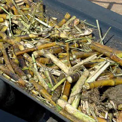 sugar-industry