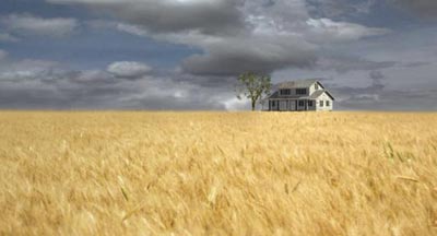 wheat