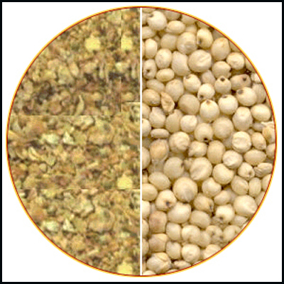 Animal Feed