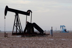 Oil