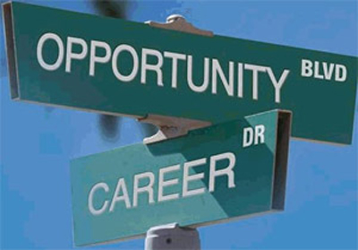 career-counselling-for-the-youth