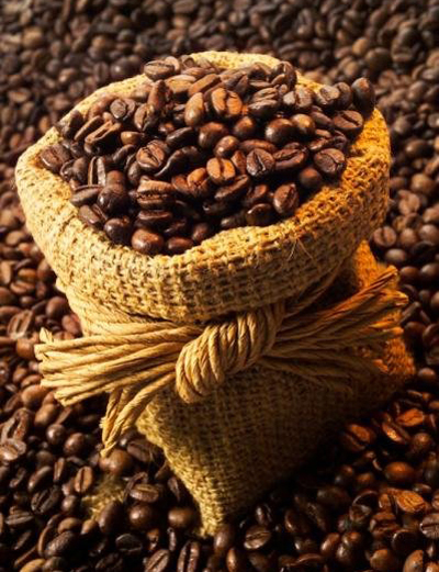Robusta coffee