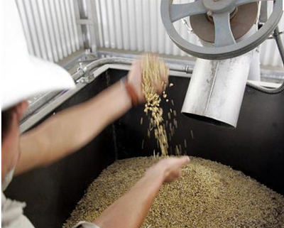 Grain