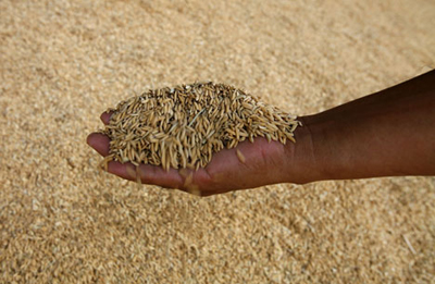 food-africa