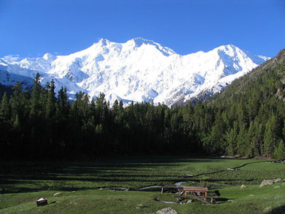 pakistan-forest