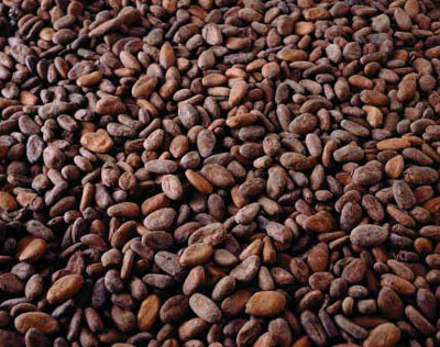 cocoa_beans