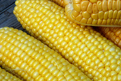 corn