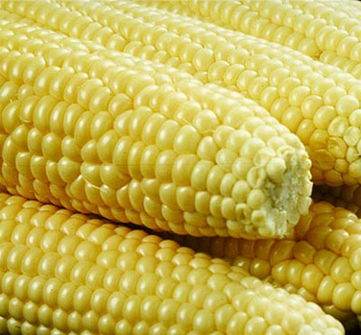 corn